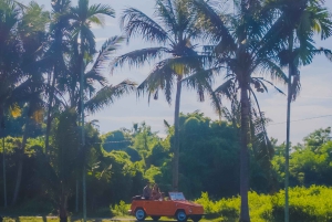 Ubud: Klassisk vintage Volkswagen-tur
