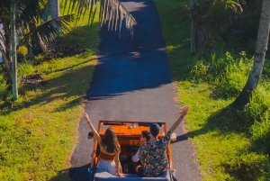 Ubud: Klassisk vintage Volkswagen-tur