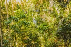 Ubud: Excursão clássica em Volkswagen vintage personalizado