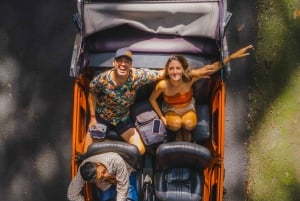 Ubud: Excursão clássica em Volkswagen vintage personalizado