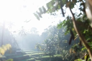 Ubud: Excursão clássica em Volkswagen vintage personalizado