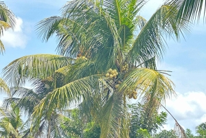Ubud: Excursão clássica em Volkswagen vintage personalizado