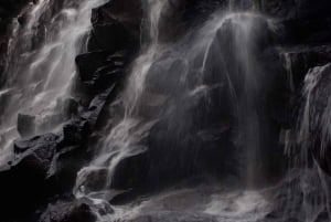 أوبود: رحلة سفاري في سيارة فولكس فاجن كلاسيكية إلى الشلال والأرجوحة ومزارع الأرز