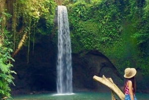 أوبود: رحلة سفاري في سيارة فولكس فاجن كلاسيكية إلى الشلال والأرجوحة ومزارع الأرز