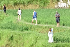 أوبود: رحلة سفاري في سيارة فولكس فاجن كلاسيكية إلى الشلال والأرجوحة ومزارع الأرز