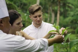 Ubud: Cooking Class & Herb Garden Tour with Local Chef