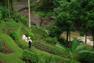 Ubud: Cooking Class & Herb Garden Tour with Local Chef