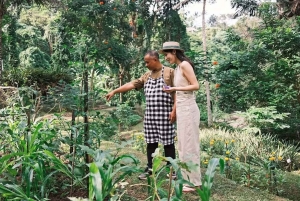 Ubud: Cooking Class & Herb Garden Tour with Local Chef