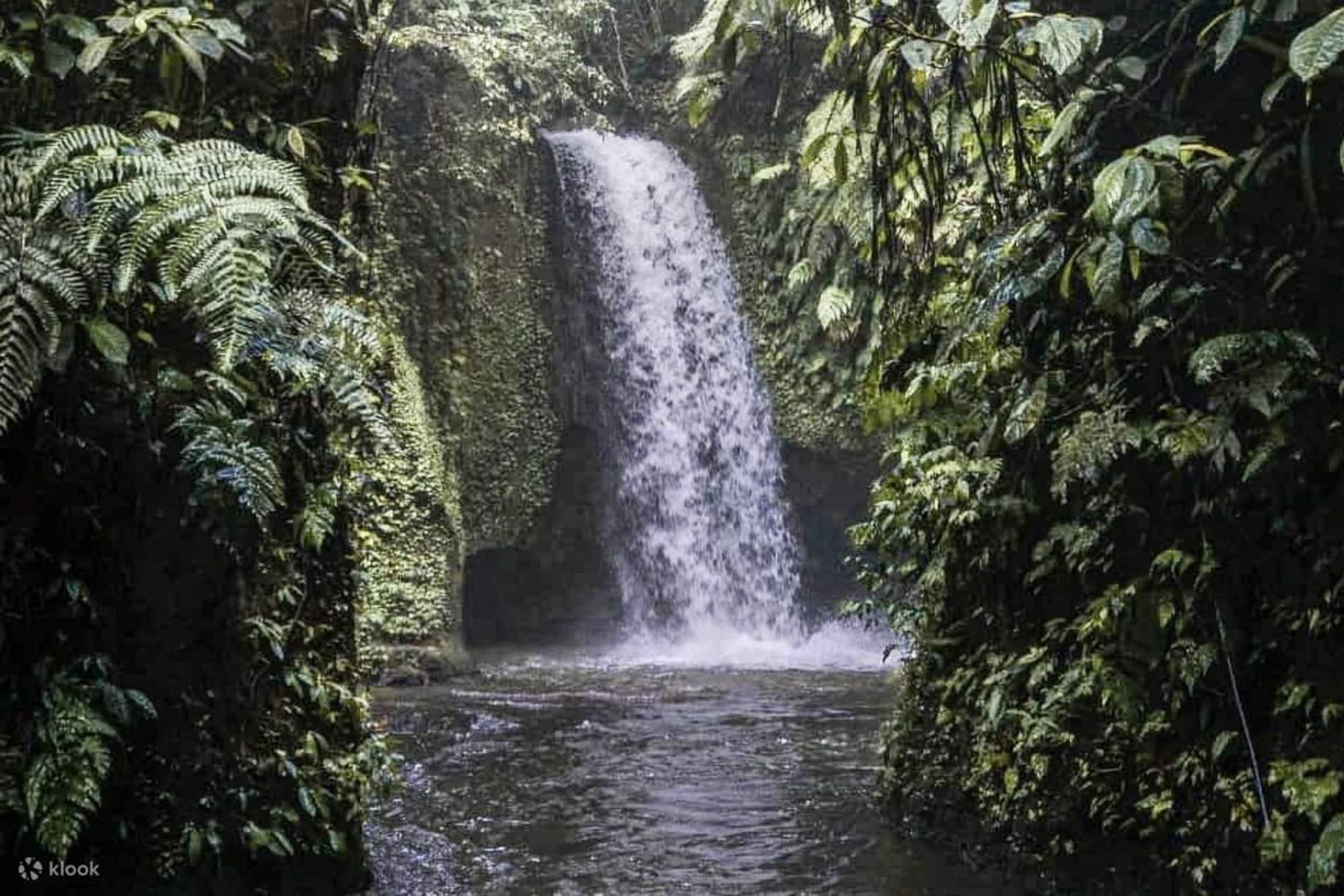 Ubud: Cretya Infinity Pool, Hidden Waterfall & Water Temple