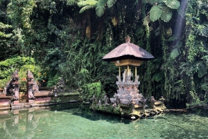 Ubud: Cretya Infinity Pool, Hidden Waterfall & Water Temple