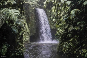 Ubud: Cretya Infinity Pool, Hidden Waterfall & Water Temple