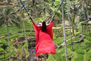 Ubud: Cretya Infinity Pool, Hidden Waterfall & Water Temple