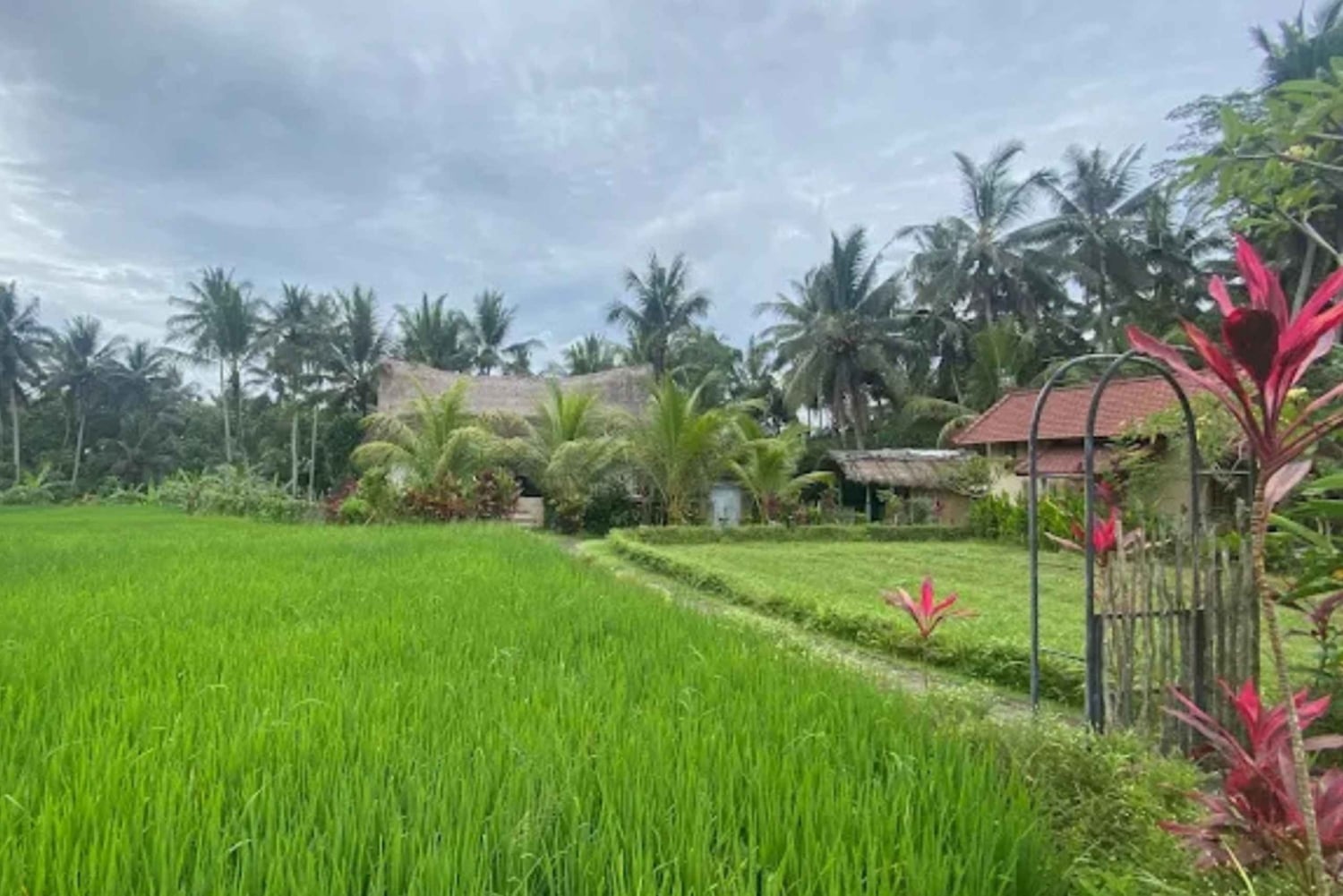 Ubud: Cultural and Nature Tour with Waterfall and Swing