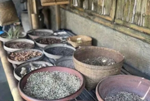 Ubud: Cultural and Nature Tour with Waterfall and Swing