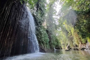 Ubud: Cultural and Nature Tour with Waterfall and Swing
