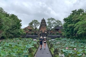 Ubud: fuga culturale alla cascata di Tegenungan, al palazzo e ai templi