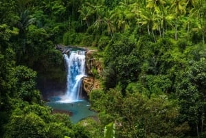 Ubud: fuga culturale alla cascata di Tegenungan, al palazzo e ai templi