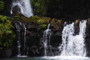 Ubud Cultural & Nature Discovery Tour