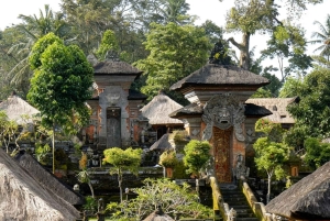 Ubud Cultural & Nature Discovery Tour