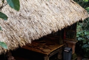 Ubud Cultural & Nature Discovery Tour