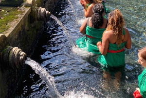 Ubud: Kultur, tempelvelsignelse og skjult vandfald