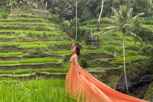 Ubud: Kultur, tempelvelsignelse og skjult vandfald