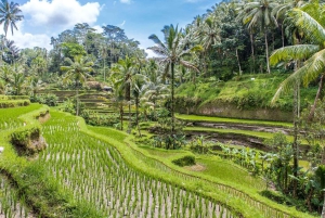 Ubud: Excursión personalizada a Bali Ubud con traslado