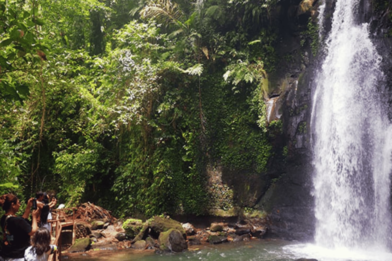 Ubud: Spersonalizowana 1-dniowa prywatna wycieczka z osobistym kierowcą