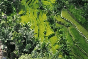 Ubud: Escursione privata di un giorno personalizzata con autista personale