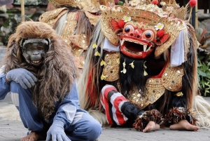 Ubud: Escursione privata di un giorno personalizzata con autista personale