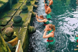 Ubud: Escursione privata di un giorno personalizzata con autista personale