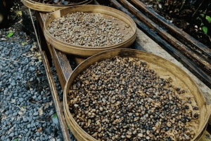 Ubud: Escursione privata di un giorno personalizzata con autista personale