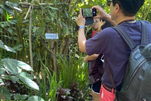 Ubud: Escursione privata di un giorno personalizzata con autista personale
