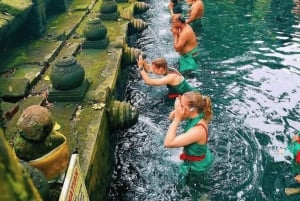 Ubud: Spersonalizowana 1-dniowa prywatna wycieczka z osobistym kierowcą