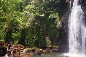 Ubud: Spersonalizowana 1-dniowa prywatna wycieczka z osobistym kierowcą