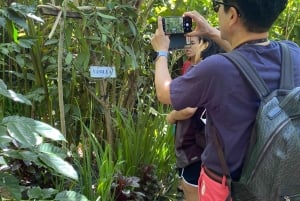 Ubud: Spersonalizowana 1-dniowa prywatna wycieczka z osobistym kierowcą