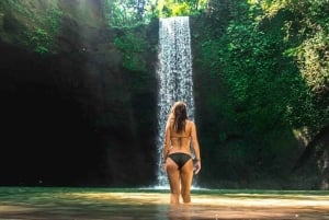 Ubud: Customised Ubud Full Day Tour with Private Driver