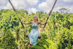 Ubud: Customised Ubud Full Day Tour with Private Driver