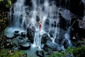 Ubud: Customised Ubud Full Day Tour with Private Driver