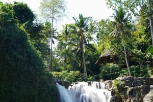 Ubud: Customised Ubud Full Day Tour with Private Driver