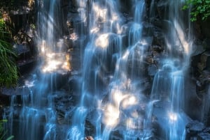 Ubud: Customised Ubud Full Day Tour with Private Driver