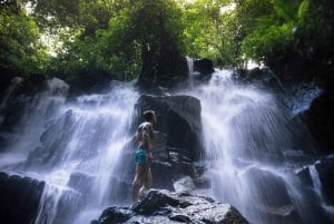 Ubud: Customised Ubud Full Day Tour with Private Driver