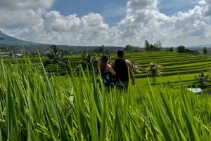 Ubud: Customised Ubud Full Day Tour with Private Driver