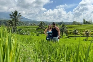 Ubud: Customised Ubud Full Day Tour with Private Driver