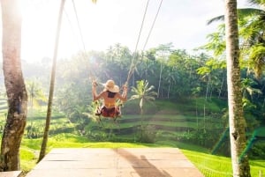 Ubud: Customised Ubud Full Day Tour with Private Driver