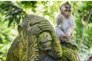 Ubud: Customised Ubud Full Day Tour with Private Driver