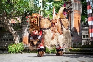 Ubud: Customised Ubud Full Day Tour with Private Driver