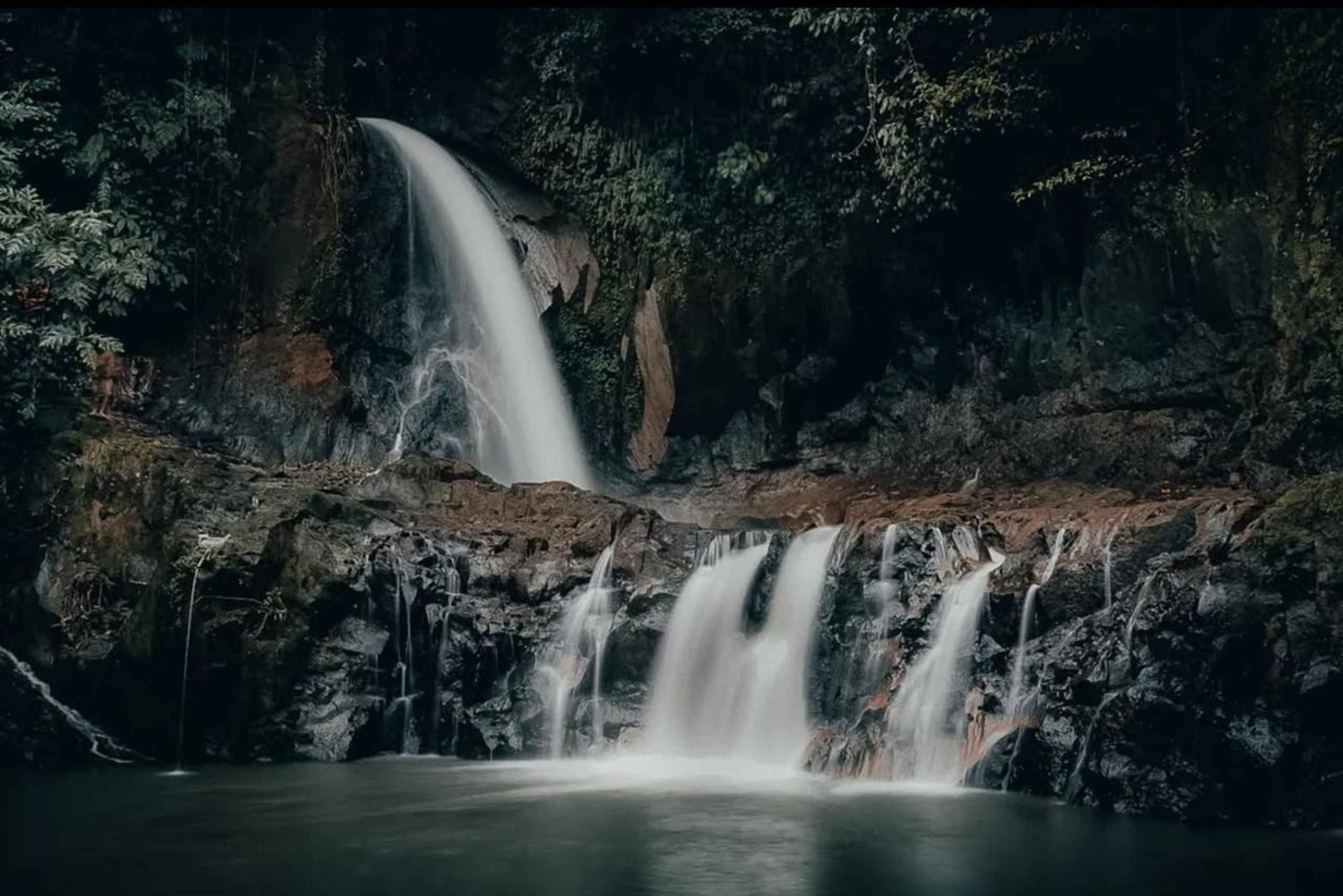 UBUD: Customized Tour With Private Driver & Guide