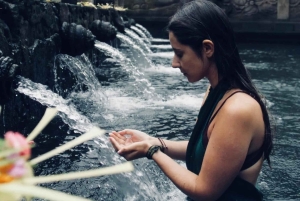 UBUD: Customized Tour With Private Driver & Guide