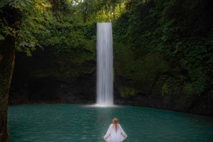 UBUD: Customized Tour With Private Driver & Guide